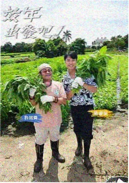 短剧演员上升通道观察配图